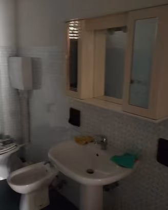 Specchio pet bagno