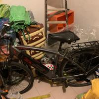 bicicletta elettrica