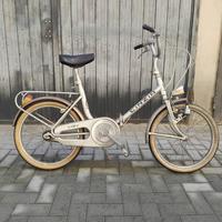 Bici pieghevole cinzia