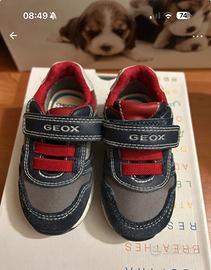 Scarpe bambino Geox n 20