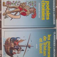 Libri per l'esame di letteratura fra