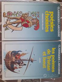 Libri per l'esame di letteratura fra