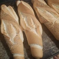 Panettiere
