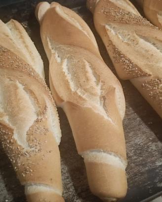 Panettiere
