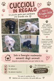 Cuccioli affettuosi