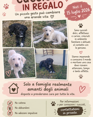 Cuccioli affettuosi