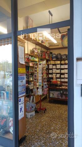 Locale commerciale - Treviso