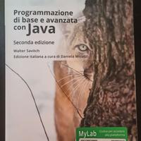 Programazione di base e avanzata con Java 2nd edi