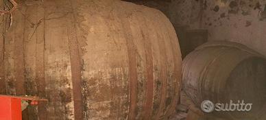 Botti del vino in legno vintage