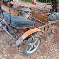 Calesse per asini o pony