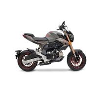 LEM BRUTUS 110CC 4T ACC.ELETTRONICA 12/12 CON GPS 