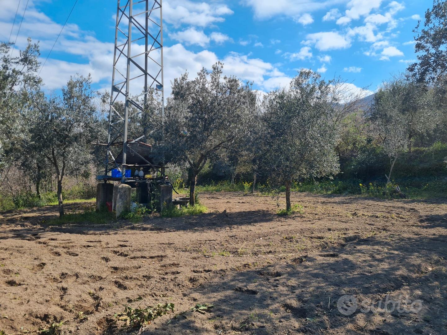 Terreno agricolo San Carlo Vallefrischi - Vista 4