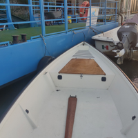 Barce vetroresina con 25cv