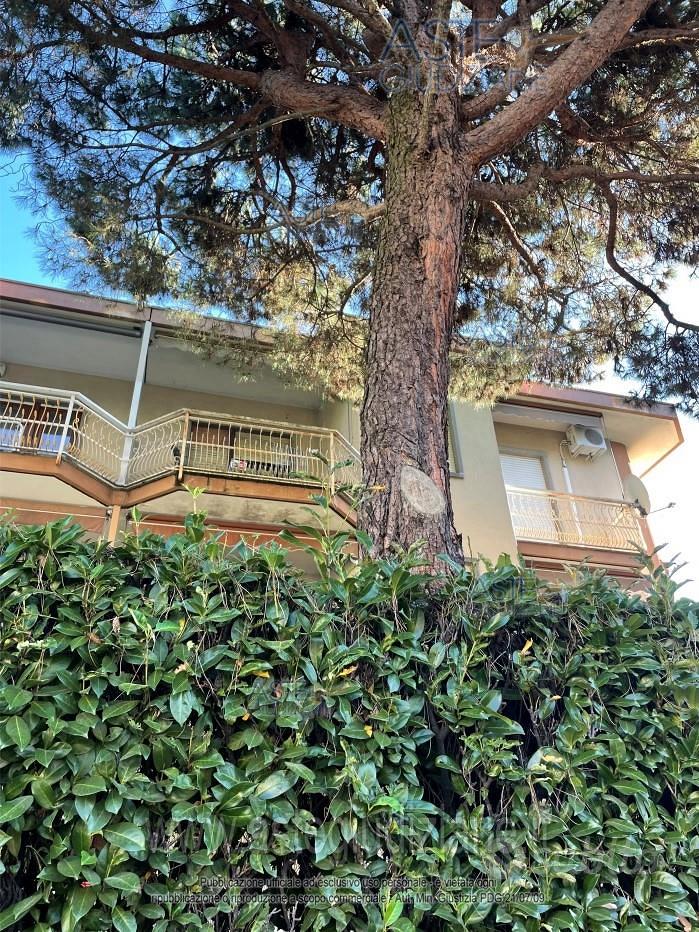 Appartamento – Biella, Vernato - Vista 4