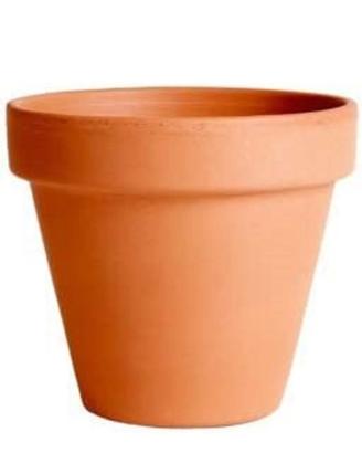 vasi in terracotta