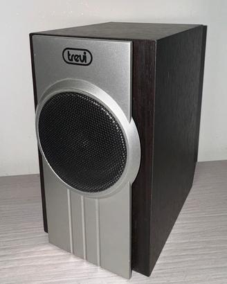 Altoparlanti e subwoofer Trevi AV-604