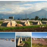 casetta ricovero animali 