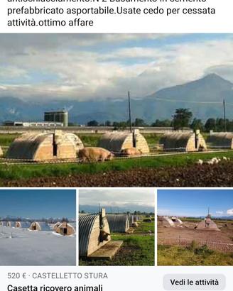 casetta ricovero animali 