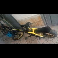 minimax argento usata 