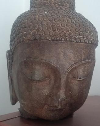 Antica Testa di Buddha in granito 12kg con sigillo