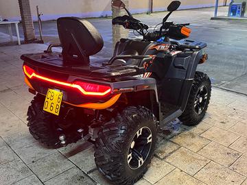 Quad ncx 300 mammoth