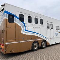 Van trasporto 5 cavalli Iveco Stralis S 450 HP