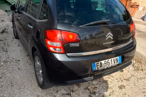 C3 2010