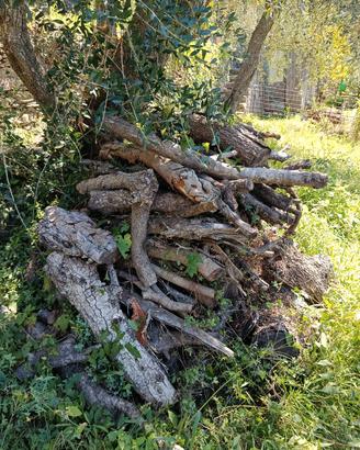 legna da ardere 