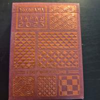 mazzo pokemon torneo 2023 