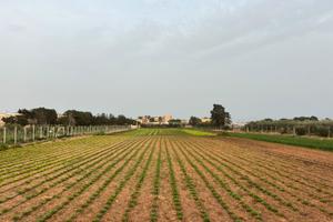 Terreno edificabile 8400 mq