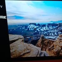 Tv tcl 43"