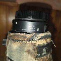 Sigma 500mm f/4 sport