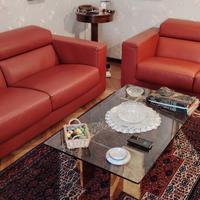 2 divani in pelle Busnelli 