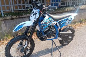 CROSS 50 MOT. 2T REPL. MORINI R 14/12 FELIX