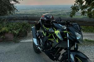 Kawasaki z125 Performace 2022