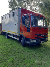 Camion trasporto cavalli