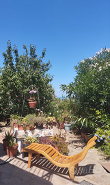 Appartamento mesi da giugno/ottobre a Montegranaro