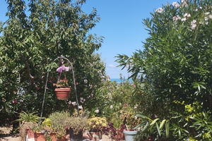 Appartamento mesi da giugno/ottobre a Montegranaro