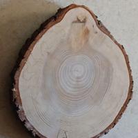 Fetta di tronco in  legno diametro 34 cm