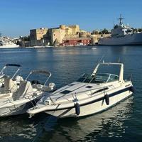 Barca Sea Ray 290 full