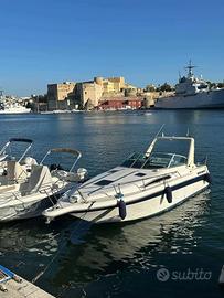 Barca Sea Ray 290 full