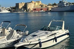 Barca Sea Ray 290 full