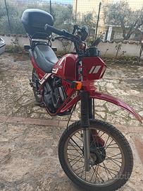 Moto Morini Kanguro 350 - 1984