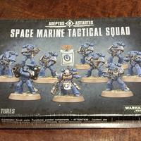 Warhammer 40k Space Marines Tactical squad x10