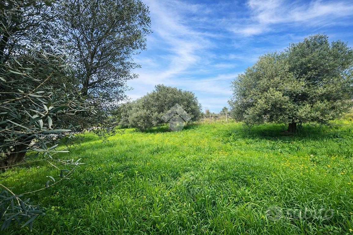 TERRENO A SILVI - Altro