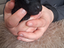 Immagine 4