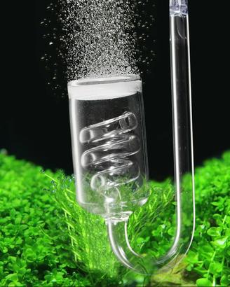 Impianto CO2 artigianale per acquario