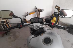 tolgo GSR