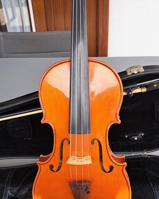 Violino