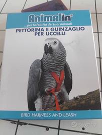 Pettorina Volatili